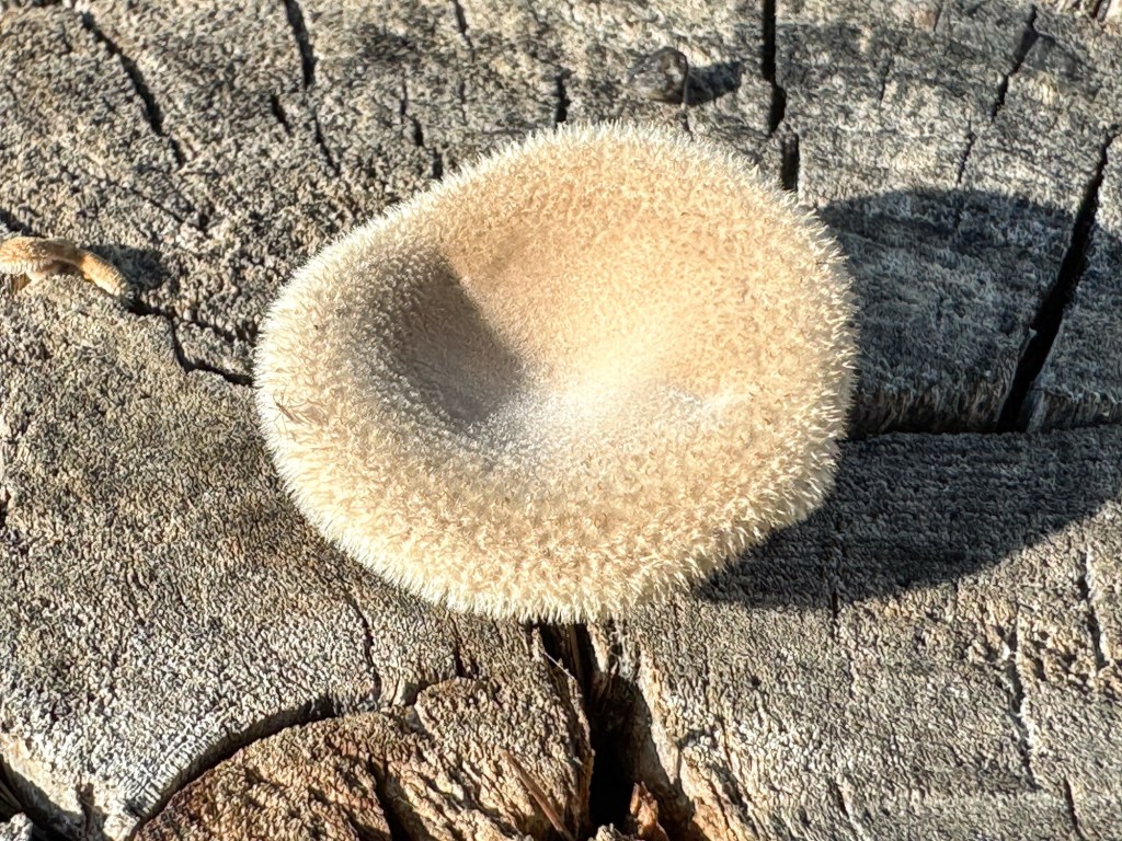 Don’t Let Them Fool&nbsp;You