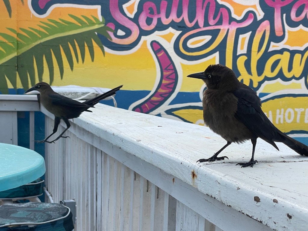 “I Can’t Believe You Just Did That!”